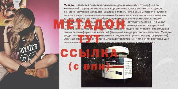 крисы Горняк