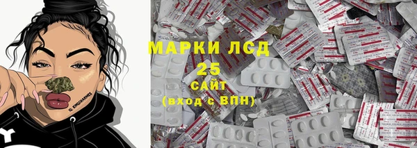 крисы Горняк